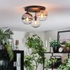 Gastor Plafonnier, Boule lumineuse Ambre, Clair, Fumé, 3 lumières