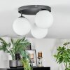 Gastor Plafonnier, Boule lumineuse Blanc, 3 lumières