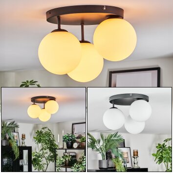Gastor Plafonnier, Boule lumineuse Blanc, 3 lumières