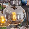 Apedo Suspension, Boule lumineuse, Suspension Ambre, Fumé, 6 lumières