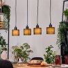 Bassagoda Suspension, Suspension Écru, Noir, 4 lumières