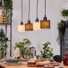 Bassagoda Suspension, Suspension Écru, Noir, 4 lumières
