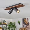 Dalan Plafonnier, Spot de plafond LED Écru, Noir, 2 lumières