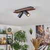 Dalan Plafonnier, Spot de plafond LED Écru, Noir, 2 lumières