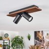 Dalan Plafonnier, Spot de plafond LED Écru, Noir, 2 lumières