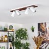 Dalan Plafonnier, Spot de plafond LED Écru, Blanc, 4 lumières