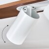 Dalan Plafonnier, Spot de plafond LED Écru, Blanc, 4 lumières