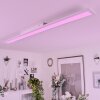 Plafonnier  Voisines LED, 1 lumière, Télécommandes, Changeur de couleurs