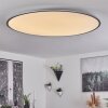 Plafonnier Champa LED Argenté, 1 lumière, Télécommandes