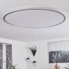 Plafonnier Champa LED Argenté, 1 lumière, Télécommandes