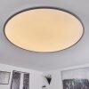 Plafonnier Champa LED Argenté, 1 lumière, Télécommandes