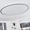 Plafonnier Champa LED Argenté, 1 lumière, Télécommandes
