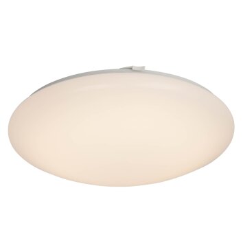Plafonnier AEG Basic LED Blanc, 1 lumière