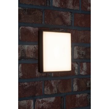 Lampe murale d'extérieur AEG Letan Square LED Anthracite, Blanc, 1 lumière