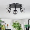 Chehalis Plafonnier, Boule lumineuse Clair, Fumé, 3 lumières