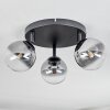 Chehalis Plafonnier, Boule lumineuse Clair, Fumé, 3 lumières