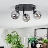 Chehalis Plafonnier, Boule lumineuse Fumé, 3 lumières