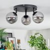 Chehalis Plafonnier, Boule lumineuse Fumé, 3 lumières