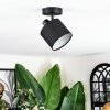 Bassagoda Plafonnier, Spot de plafond Noir, 1 lumière