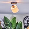 Bassagoda Plafonnier, Spot de plafond Noir, 1 lumière