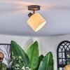 Bassagoda Plafonnier, Spot de plafond Noir, 1 lumière