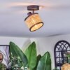 Ramila Plafonnier, Spot de plafond Noir, 1 lumière