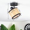 Ramila Plafonnier, Spot de plafond Noir, 1 lumière