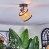 Ramila Plafonnier, Spot de plafond Noir, 1 lumière