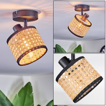 Ramila Plafonnier, Spot de plafond Noir, 1 lumière