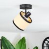 Chellas Plafonnier, Spot de plafond Noir, 1 lumière