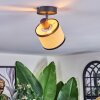 Chellas Plafonnier, Spot de plafond Noir, 1 lumière