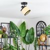 Chellas Plafonnier, Spot de plafond Noir, 1 lumière