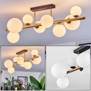 Chehalis Plafonnier, Boule lumineuse Or, Noir, 8 lumières