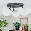 Chehalis Plafonnier, Boule lumineuse Blanc, 3 lumières