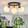 Chehalis Plafonnier, Boule lumineuse Blanc, 3 lumières