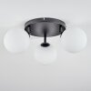 Chehalis Plafonnier, Boule lumineuse Blanc, 3 lumières