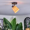 Lindberg Plafonnier, Spot de plafond Noir, 1 lumière