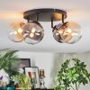 Chehalis Plafonnier, Boule lumineuse Ambre, Clair, Fumé, 4 lumières