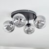 Chehalis Plafonnier, Boule lumineuse Clair, Fumé, 4 lumières