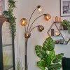 Koyoto Boule lumineuse, Lampadaire Ambre, Chrome, Clair, Fumé, 5 lumières