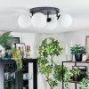 Chehalis Plafonnier, Boule lumineuse Blanc, 4 lumières