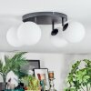 Chehalis Plafonnier, Boule lumineuse Blanc, 4 lumières