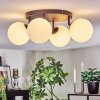 Chehalis Plafonnier, Boule lumineuse Blanc, 4 lumières