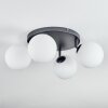 Chehalis Plafonnier, Boule lumineuse Blanc, 4 lumières