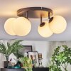 Chehalis Plafonnier, Boule lumineuse Blanc, 4 lumières