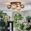 Chehalis Plafonnier, Boule lumineuse Ambre, Fumé, 4 lumières