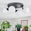 Chehalis Plafonnier, Boule lumineuse Blanc, 4 lumières