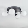 Chehalis Plafonnier, Boule lumineuse Blanc, 4 lumières