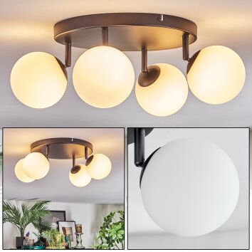 Chehalis Plafonnier, Boule lumineuse Blanc, 4 lumières