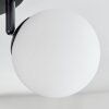 Chehalis Plafonnier, Boule lumineuse Blanc, 4 lumières